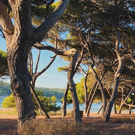 Maison Lagon Et Plage * Σεσίμπρα