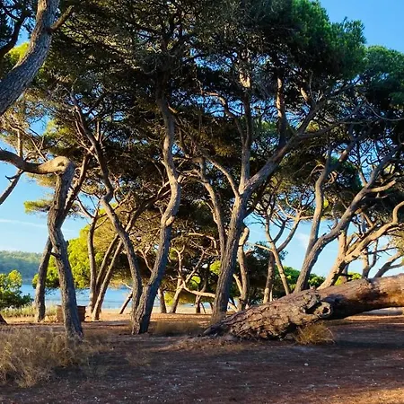 Maison Lagon Et Plage Sesimbra